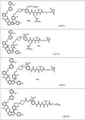 Figure imgf000060_0001