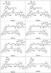 Figure BDA0003285627320000431