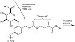 Figure imgf000077_0001
