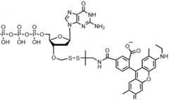 Figure imgf000245_0002