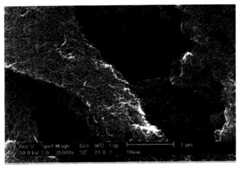 Figure R1020047011696