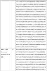 Figure BDA0004113681710000831