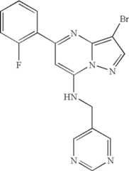 Figure US07119200-20061010-C01489