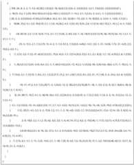 Figure BDA0003158737560000541