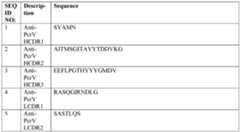 Figure imgf000023_0001
