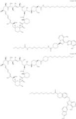 Figure US11364300-20220621-C00262