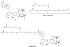 Figure imgf000173_0001
