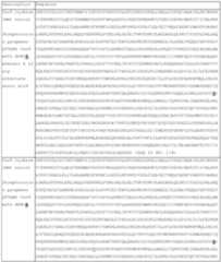 Figure imgf000070_0002