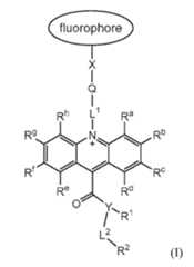 Figure imgf000005_0001