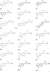 Figure FDA0003893124640000131