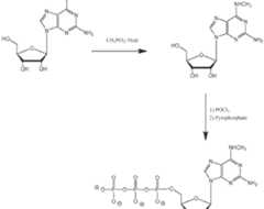 Figure imgf000703_0001