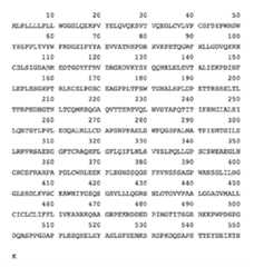 Figure imgf000162_0001