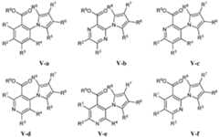 Figure imgf000046_0001