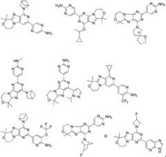 Figure FDA0002486010530000211