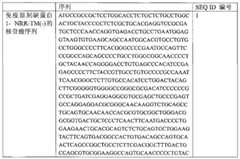 Figure BPA00001514555100141