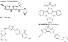 Figure imgf000018_0003