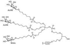 Figure 112016114379466-pct00202