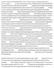 Figure imgf000085_0001