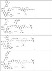 Figure imgf000052_0001