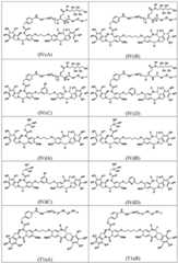 Figure BDA0003285627320000451