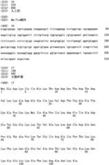 Figure IPA0000296957260000111