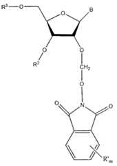 Figure imgf000021_0001