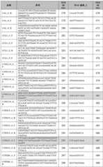 Figure BDA0002379404260001141