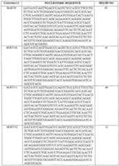 Figure imgf000056_0001