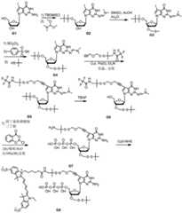 Figure BDA0003670511740004391