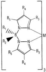 Figure imgf000076_0001