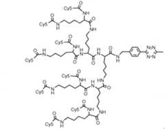 Figure imgf000207_0001