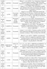 Figure PCTCN2022090268-appb-000010