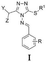 Figure FDA0004209802200000011