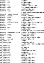 Figure BDA0000057170160001971