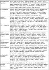 Figure imgf000453_0001