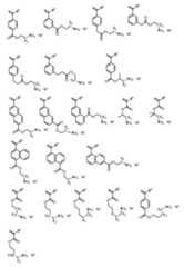 Figure 0007410065000021