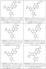 Figure 2025513455000080