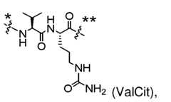 Figure imgf000225_0006