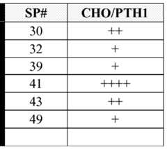 Figure imgf000200_0001