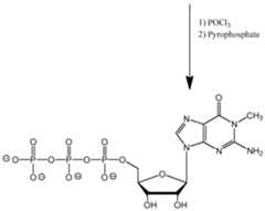 Figure imgf000205_0002