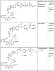 Figure imgf000189_0001