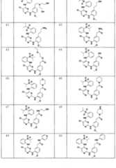 Figure imgf000117_0001