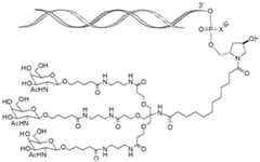 Figure imgf000009_0001