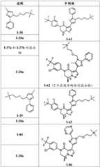 Figure BDA0001311904430000471