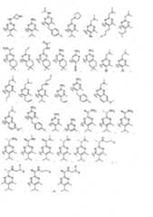 Figure imgf000095_0001