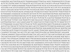 Figure PCTCN2019104680-appb-000031