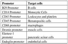 Figure imgf000203_0001