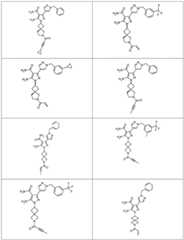 Figure FDA0002673094520000101