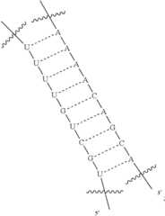 Figure US12338436-20250624-C00406