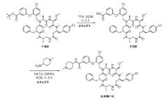 Figure 2022507958000170